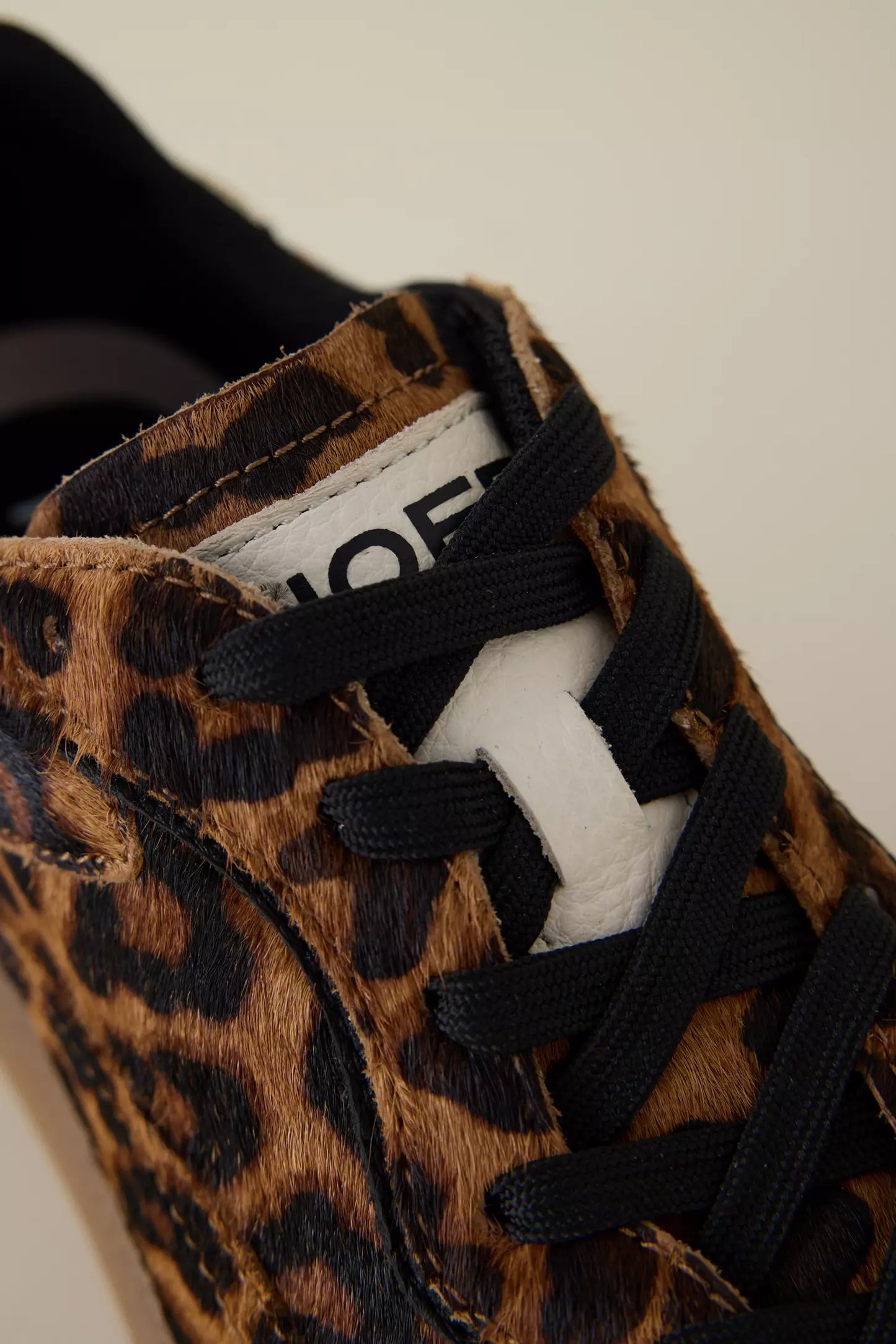 Alley - Leopard