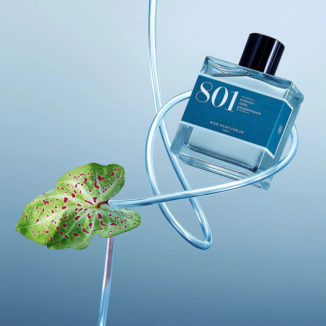 Bon Parfumeur 801 Eu De Parfum