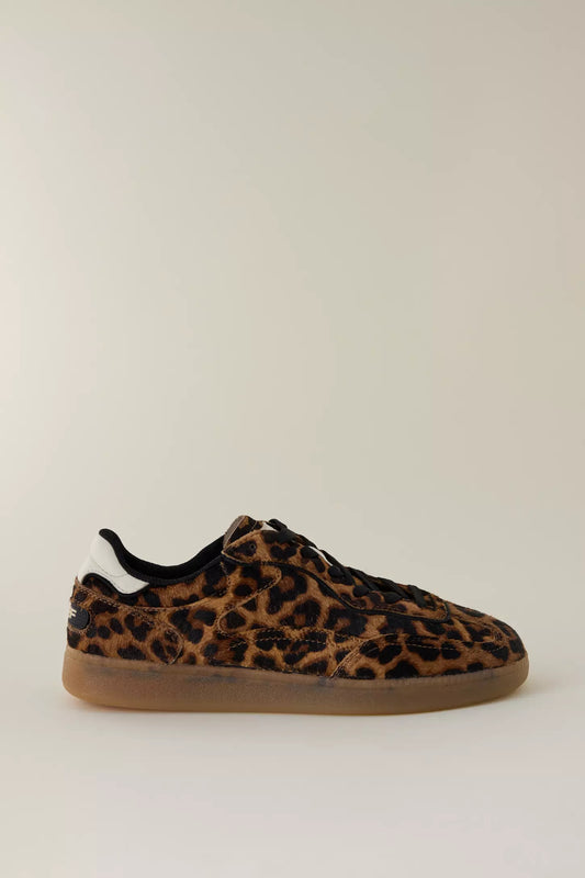 Alley - Leopard