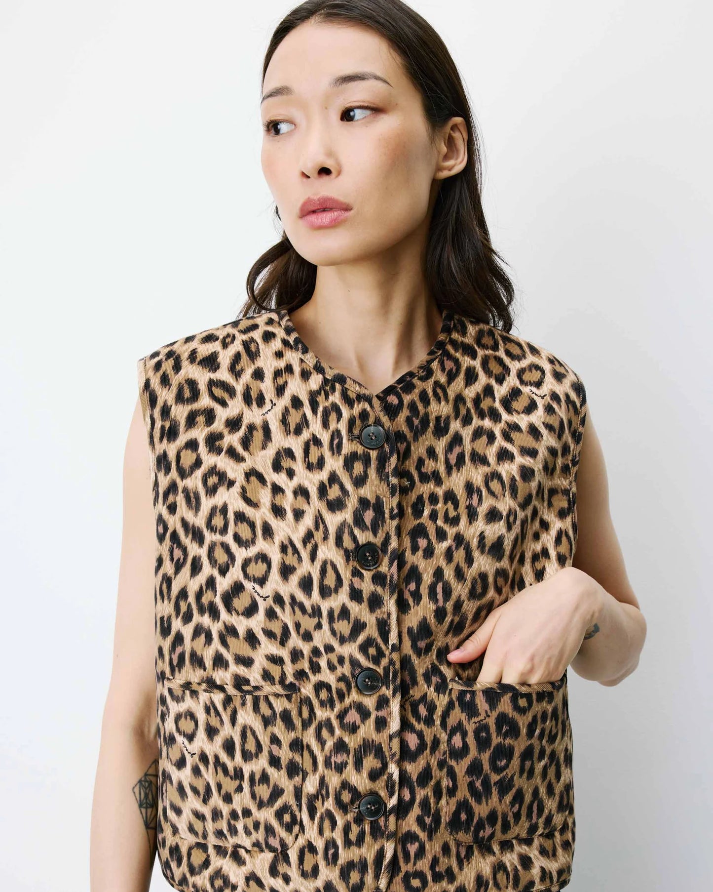 Alexis Gilet - Leopard