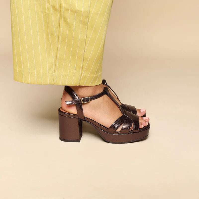 Charlie Shoes - Metallic Dark Brown